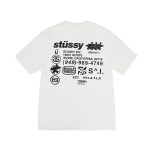 Stussy DNA Pigment Dyed Tee natural